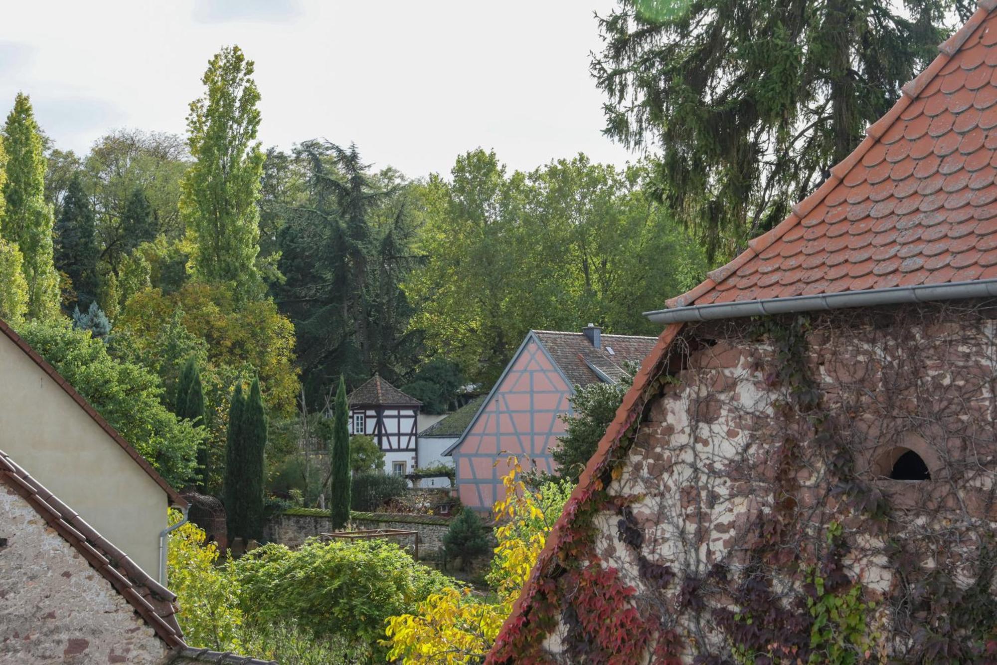 Boutique-Hotel Im Sternenhof 大卡尔巴赫 外观 照片